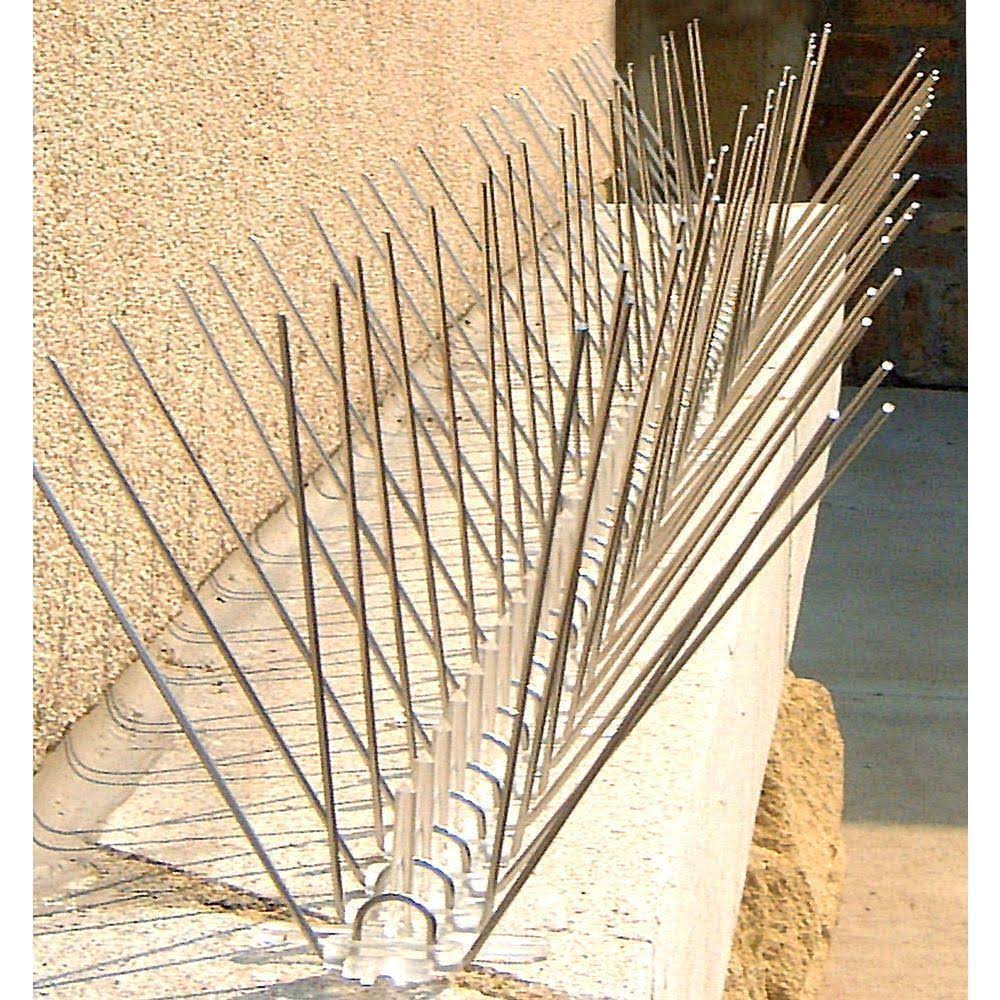 Stainless Steel Bird Spikes, 50 Feet - Bird-X - STS-50