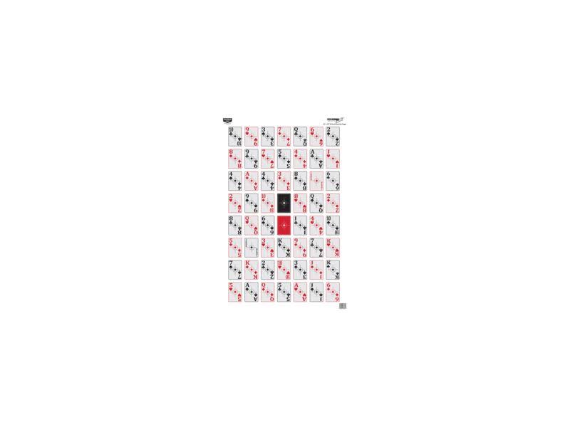 Birchwood Casey Eze-Scorer 52-Card Shoot-Up 23x22x35x22 -100