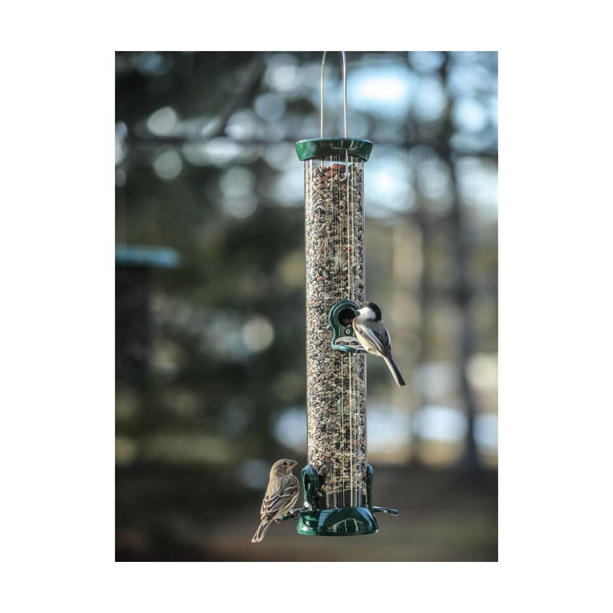Birds Choice Clever Clean Tube Bird Feeder