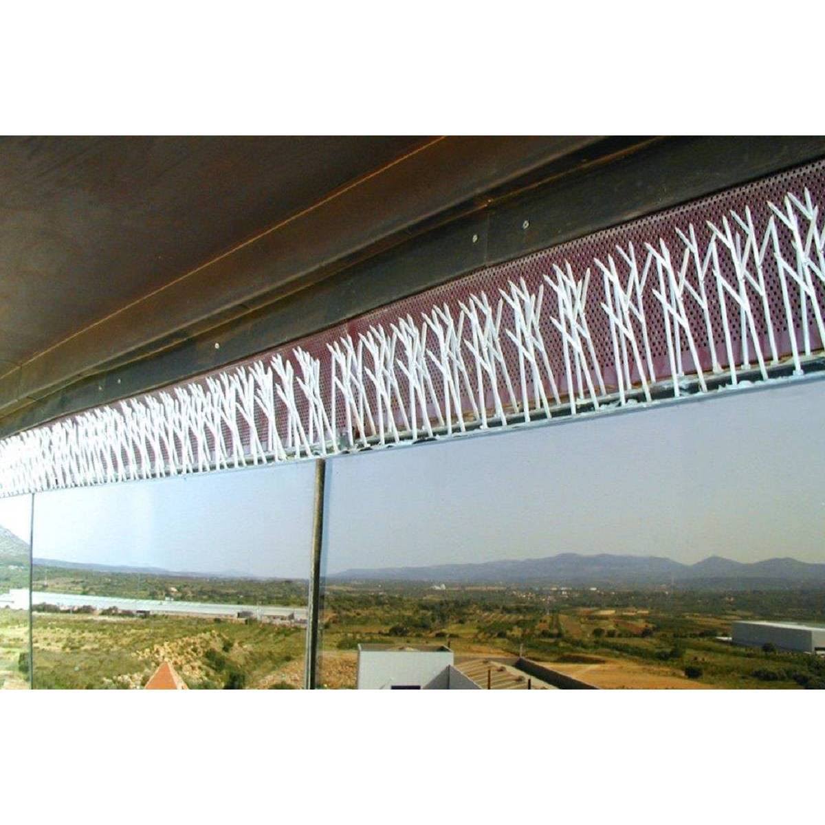 Bird-X 25& Plastic Bird Spikes