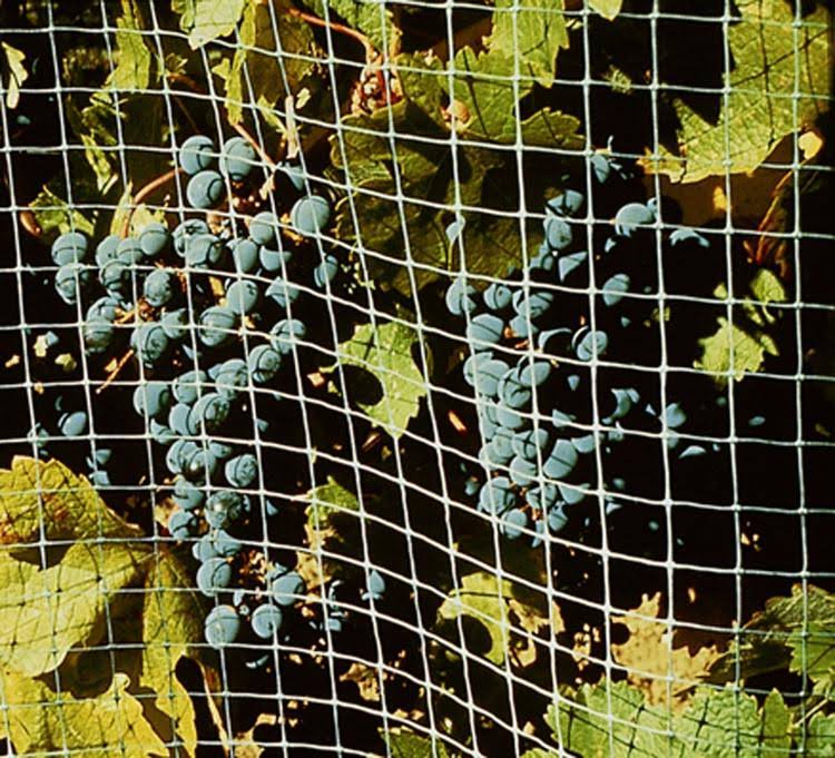 Bird-X NET-STR-200 200 ft. x 14 ft. STRUCTURAL Bird Netting