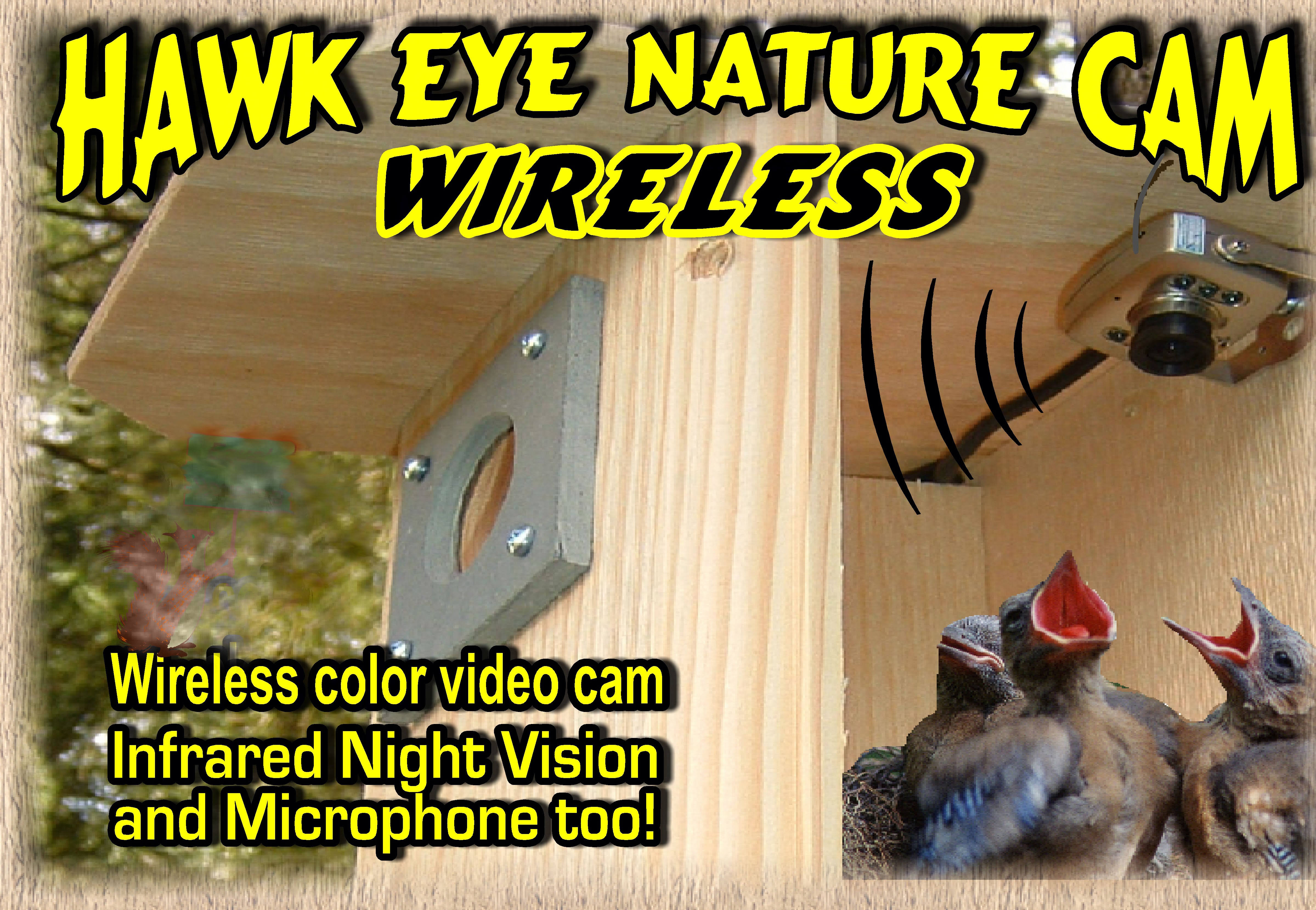 Hawk Eye Wireless Spy Cam Birdhouse Camera