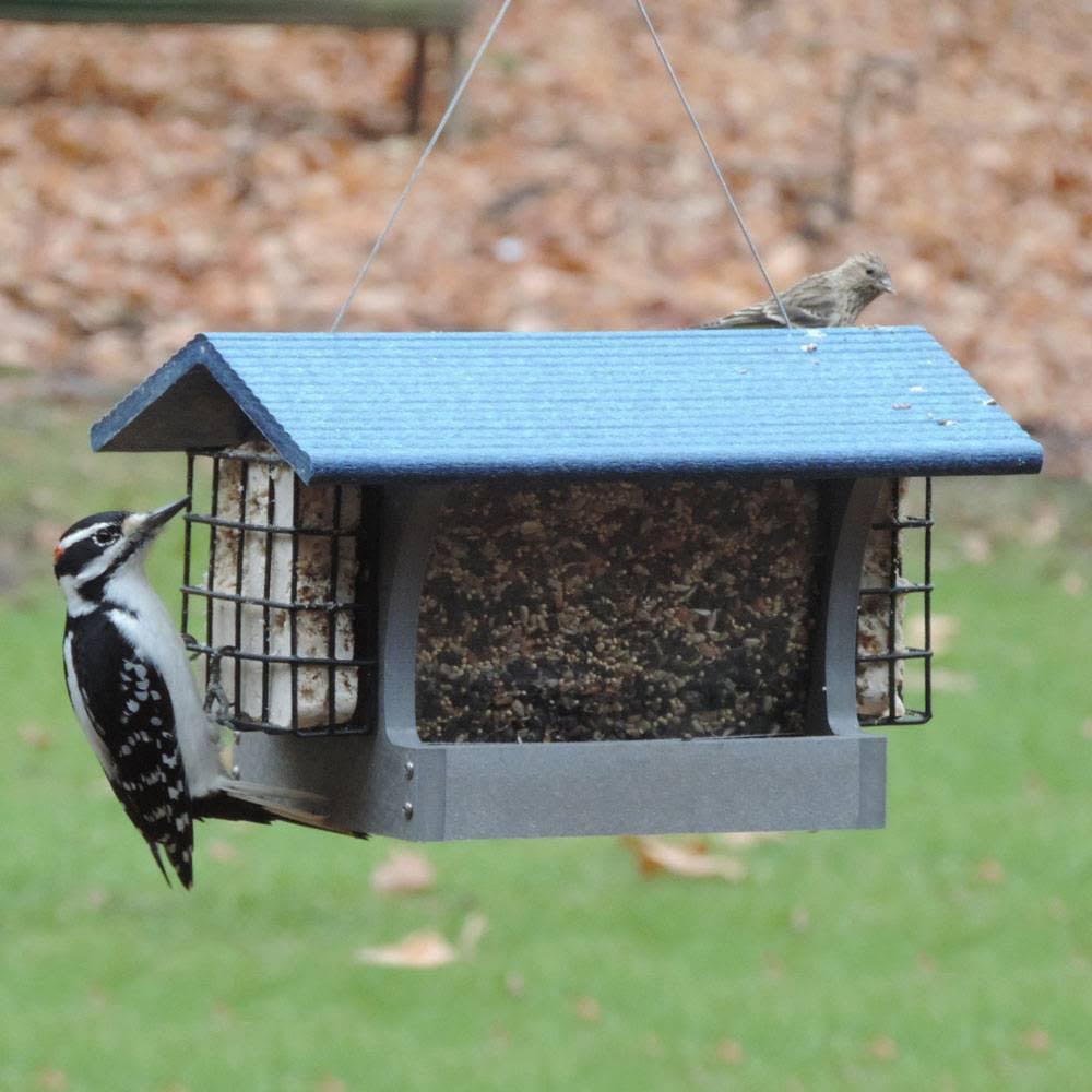 Birds Choice Solutions Recycled Hopper Bird Feeder, Blue