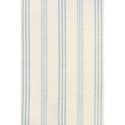 Blue/White Indoor/Outdoor Area Rug