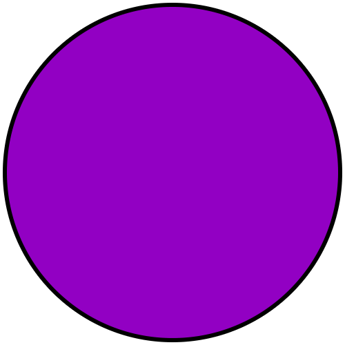 Hawk Eye Wireless Spy Cam Birdhouse Camera