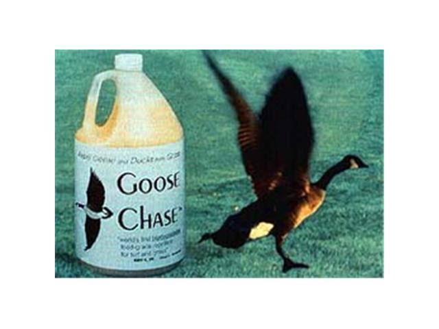 Bird-X BS-GAL Bird Repellent, Bird Stop