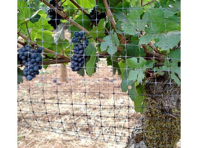 Bird-X NET-STD-100-14 Standard Bird Net, 100 x 14 ft