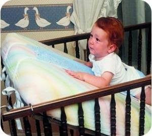 Bird Cronin 08141025 Danny Sling 2-5 lbs, Price/each