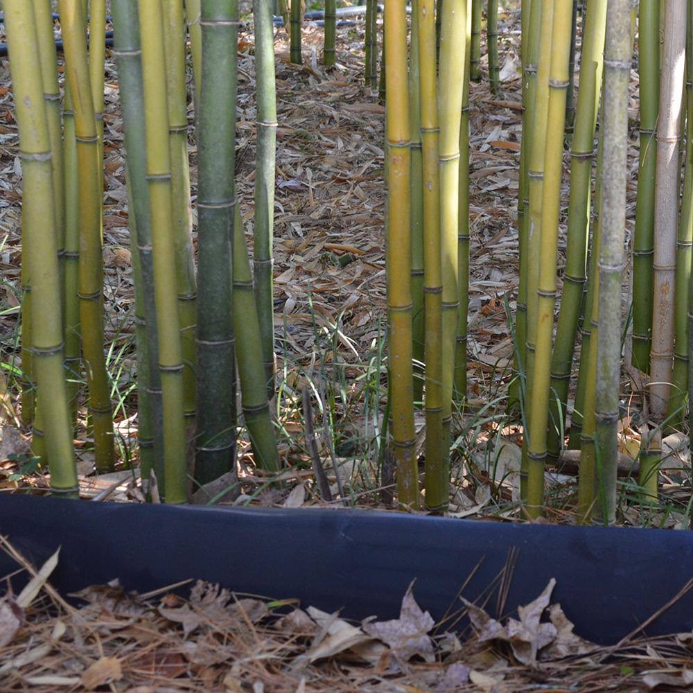Bamboo Shield - 100 Mil Thick by 36in Depth 25 Feet