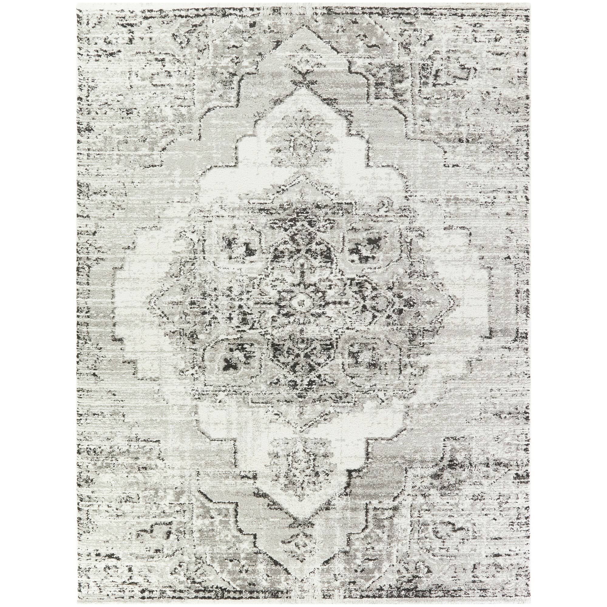 Amal Distressed Persian Medallion Area Rug - 5&3x22 x 7& - Grey