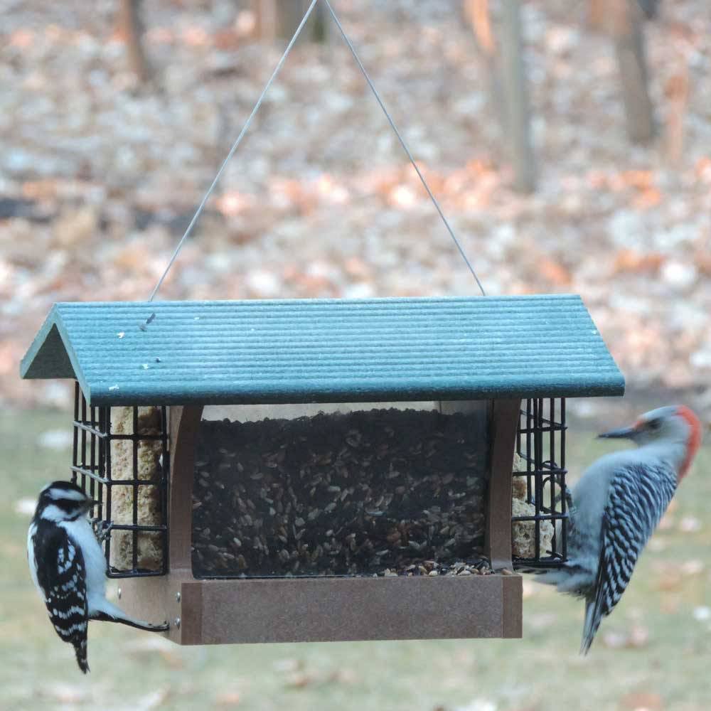 Birds Choice 4 Quart 2-Sided Recycled Hopper Bird Feeder