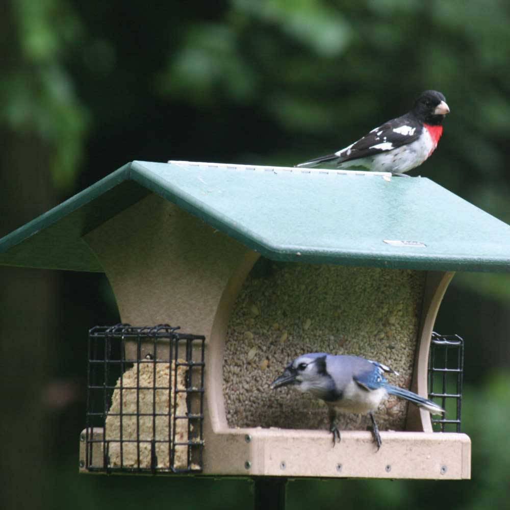 Birds Choice 4 Quart 2-Sided Recycled Hopper Bird Feeder