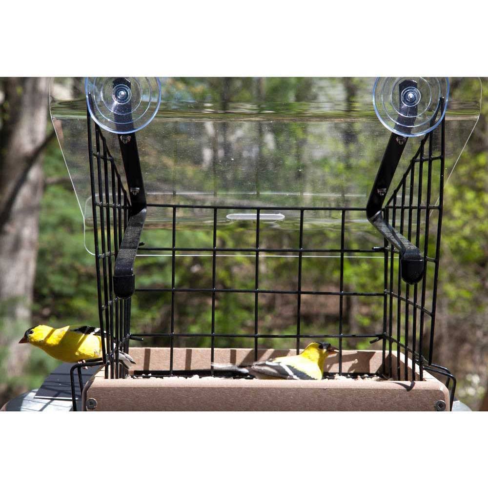 Birds Choice Recycled Window Mount Platform Feeder with Cage and Cover