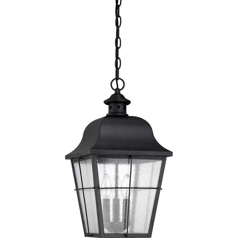 Danielson 3 -Bulb 19x22 H Outdoor Hanging Lantern Fixture Finish Black