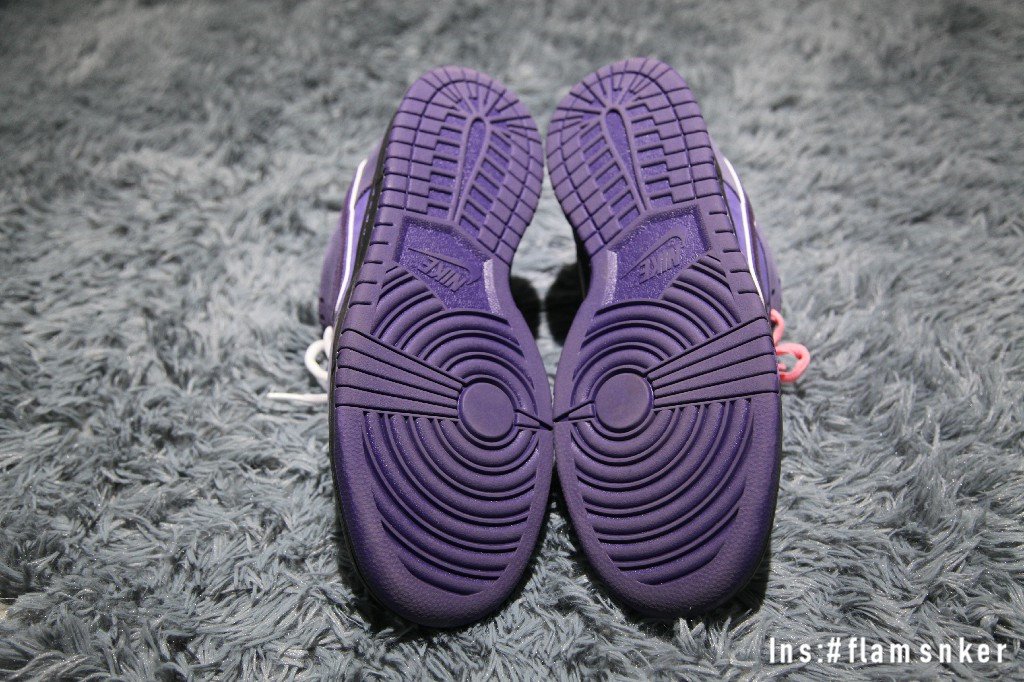 Nike SB Dunk Low Concepts Purple Lobster (Special Box)