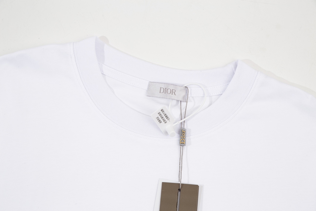Dior Light Blue Gradient Reversible Logo Print Short Sleeve T-Shirt 6.14