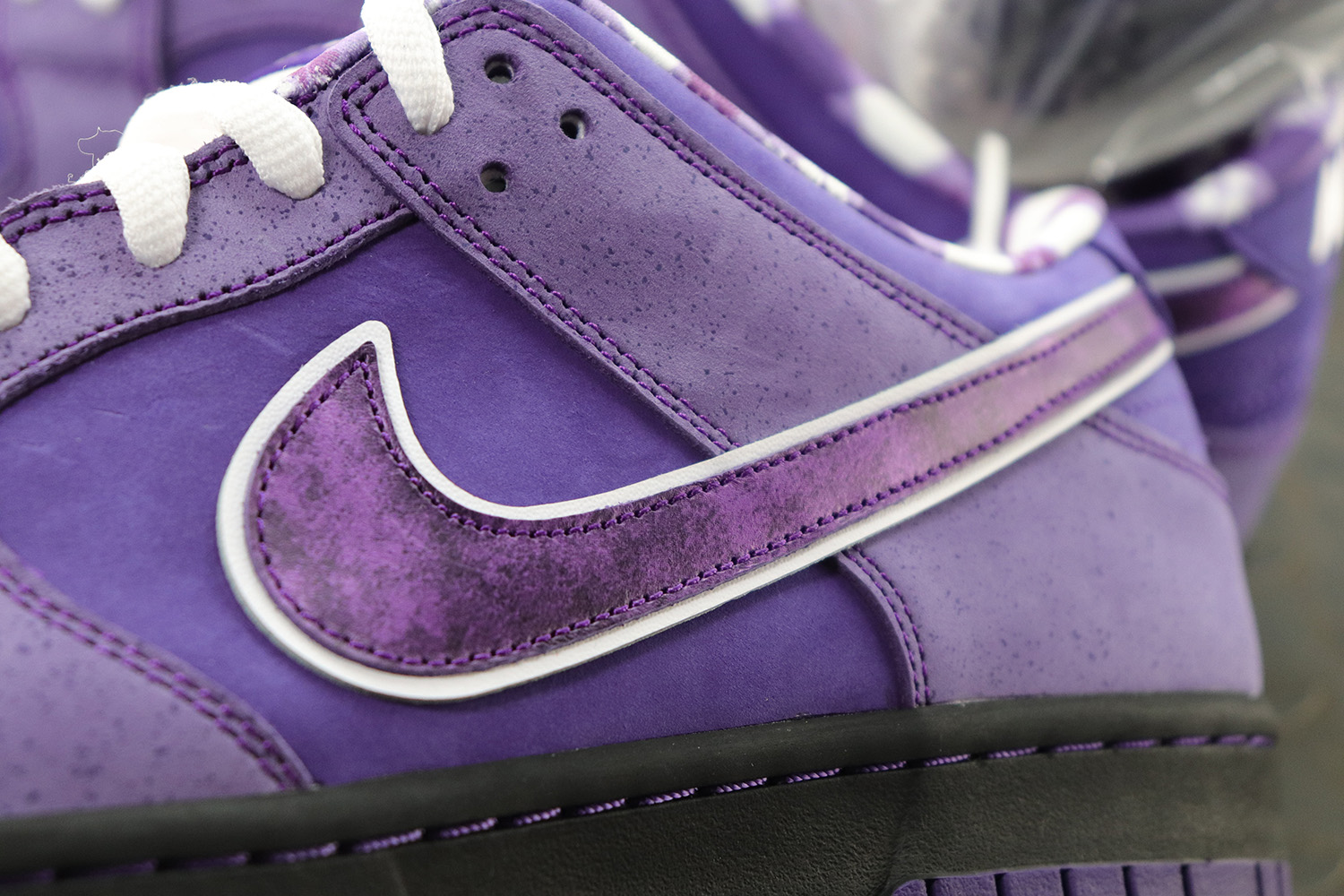 【Clearance】 Nike SB Dunk Low Concepts Purple Lobster Regular Box（US11）