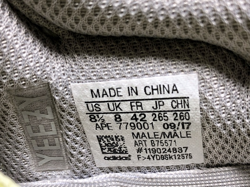 adidas Yeezy Boost 700 Wave Runner