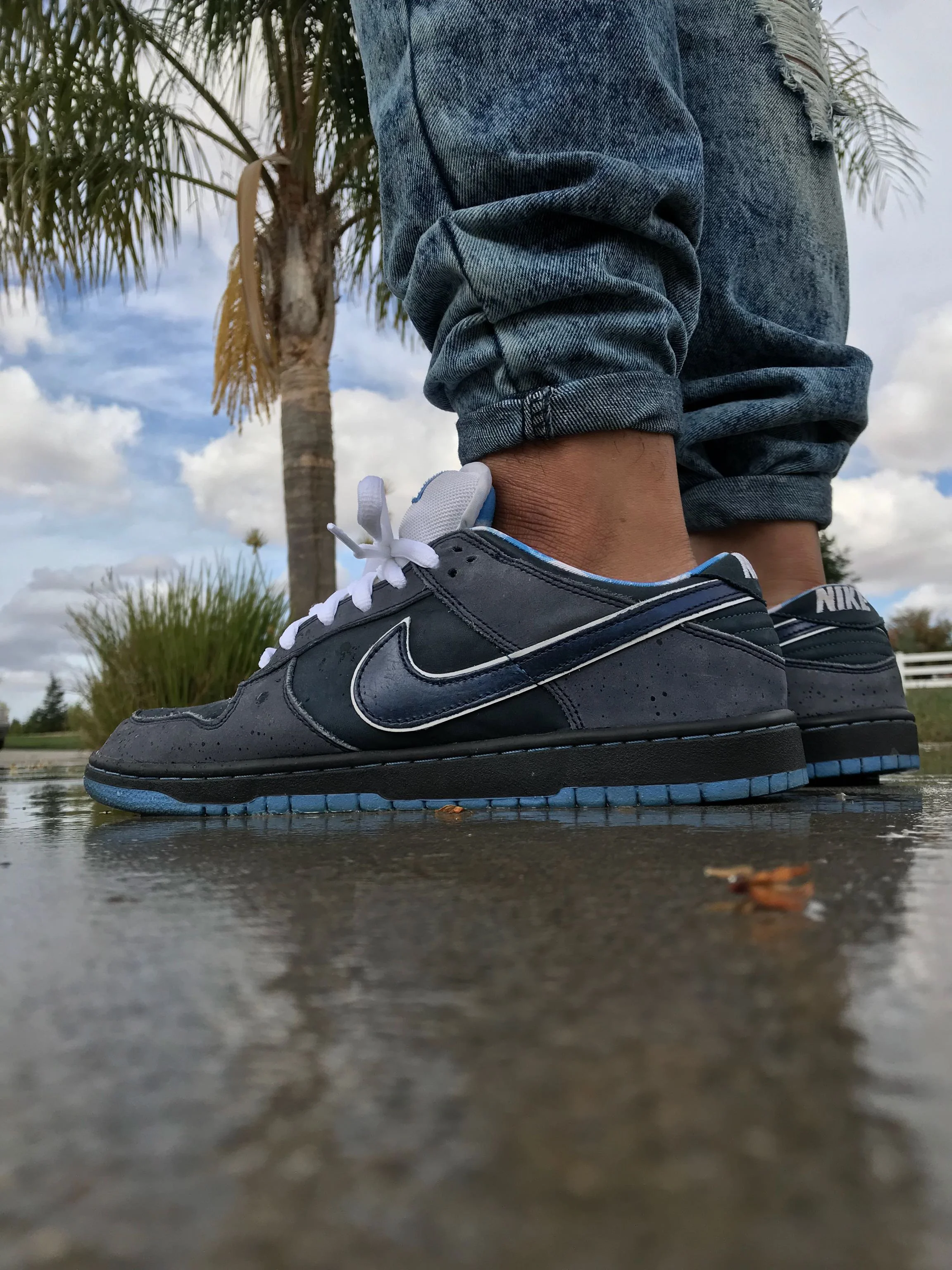 Nike Dunk SB Low Blue Lobster