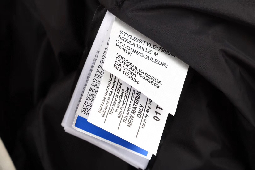 01 Canada Goose Chilliwack 7999M White