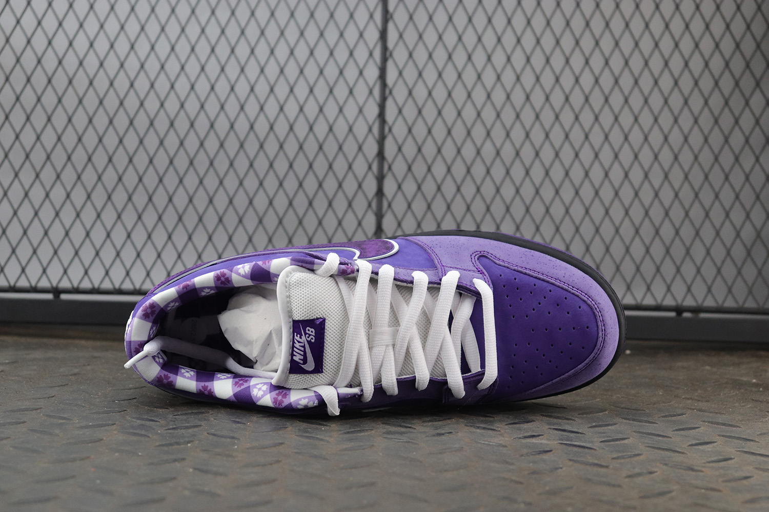 【Clearance】 Nike SB Dunk Low Concepts Purple Lobster Regular Box（US11）