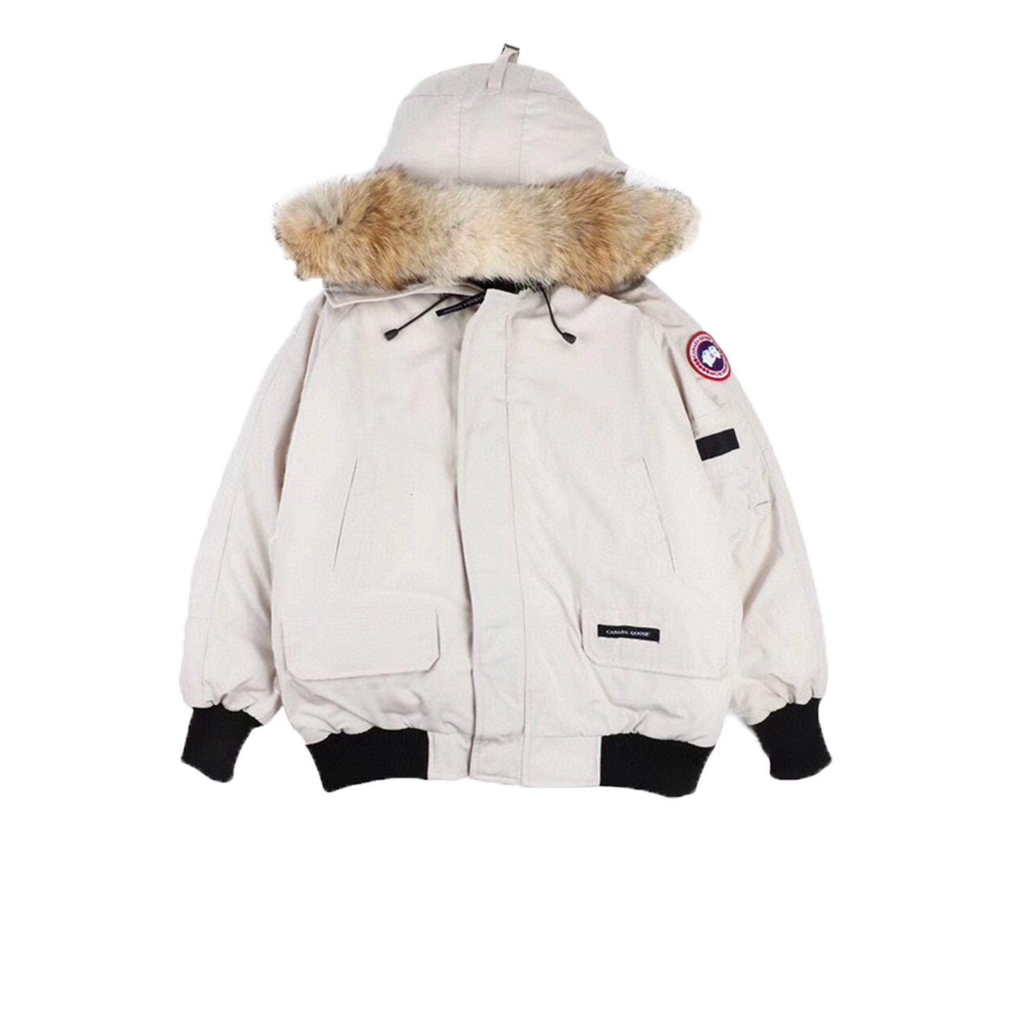 01 Canada Goose Chilliwack 7999M White