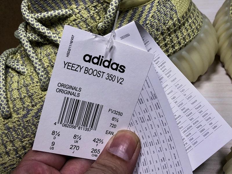 adidas Yeezy Boost 350 V2 Antlia Non-Reflective