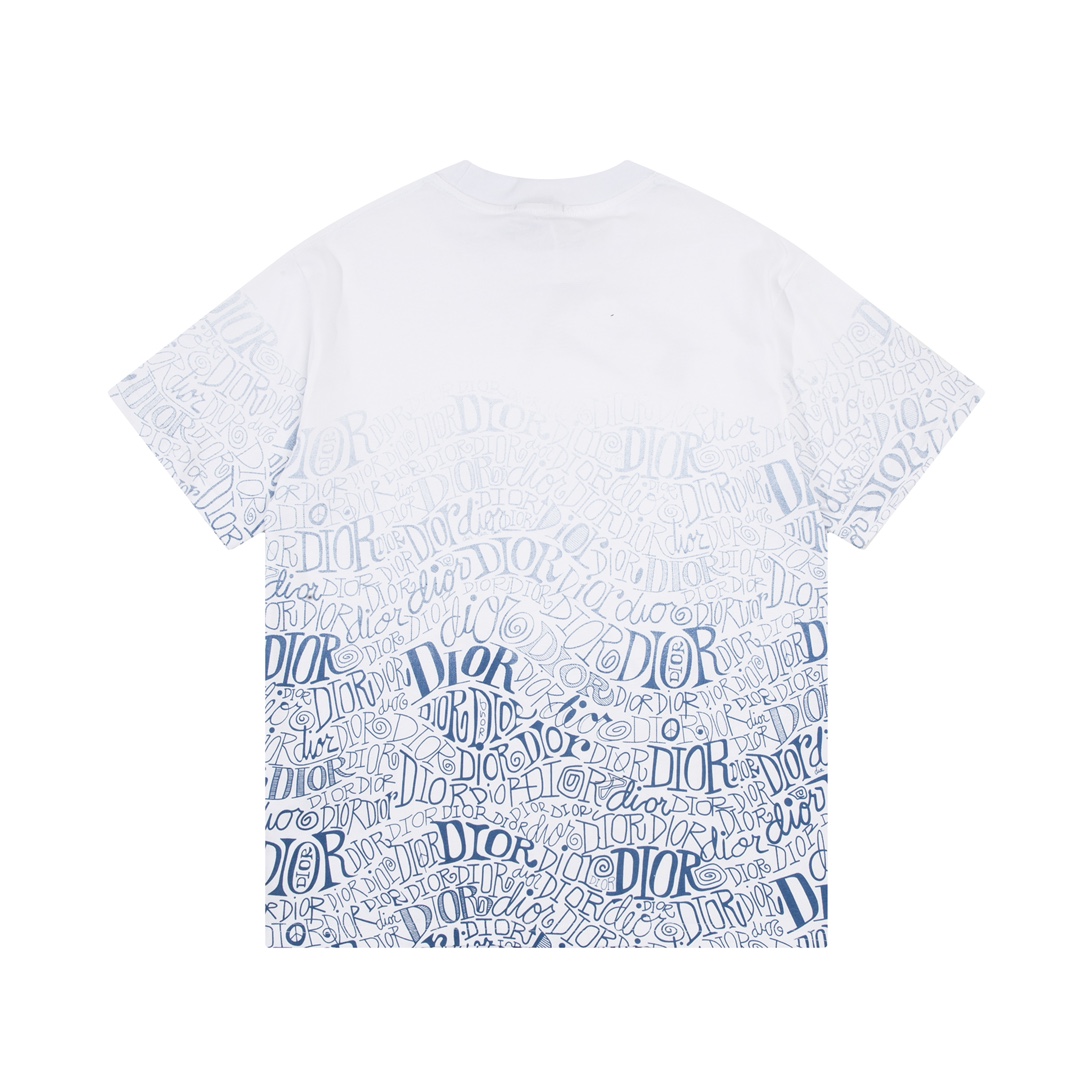 Dior Light Blue Gradient Reversible Logo Print Short Sleeve T-Shirt 6.14