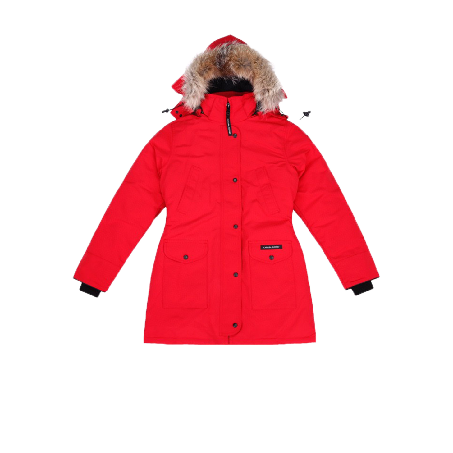 07 Canada Gooxx Red Female