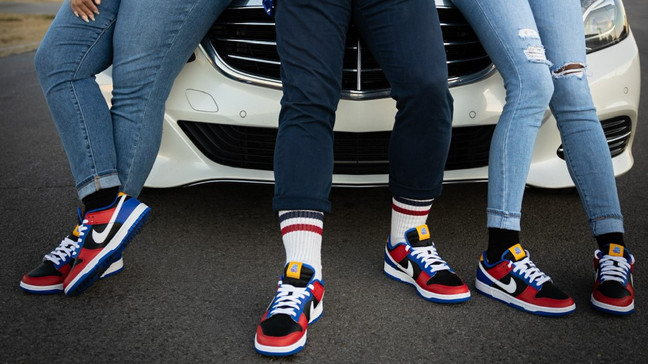 Nike Dunk Low Tennessee State University