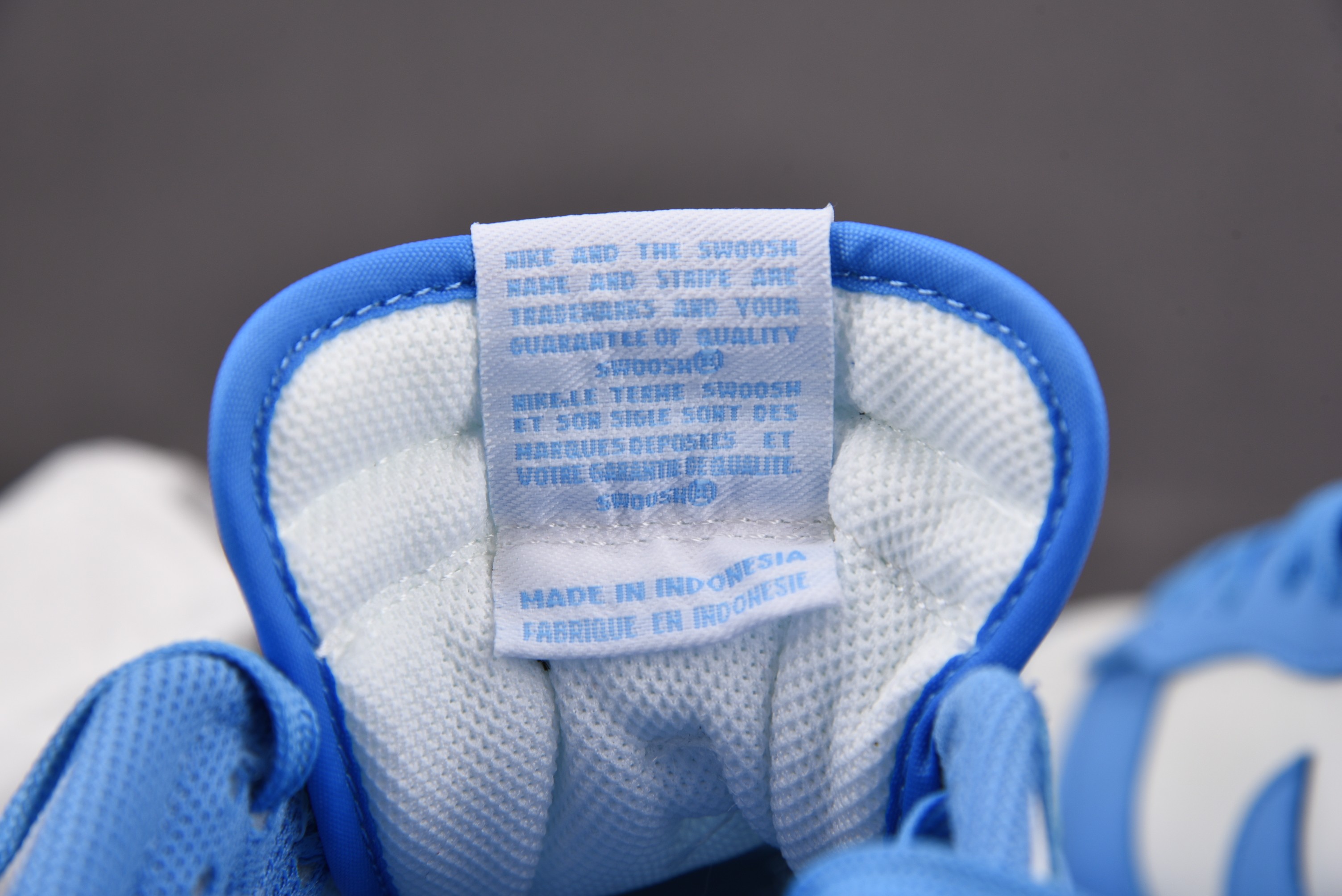 Nike Dunk Low UNC (2021)