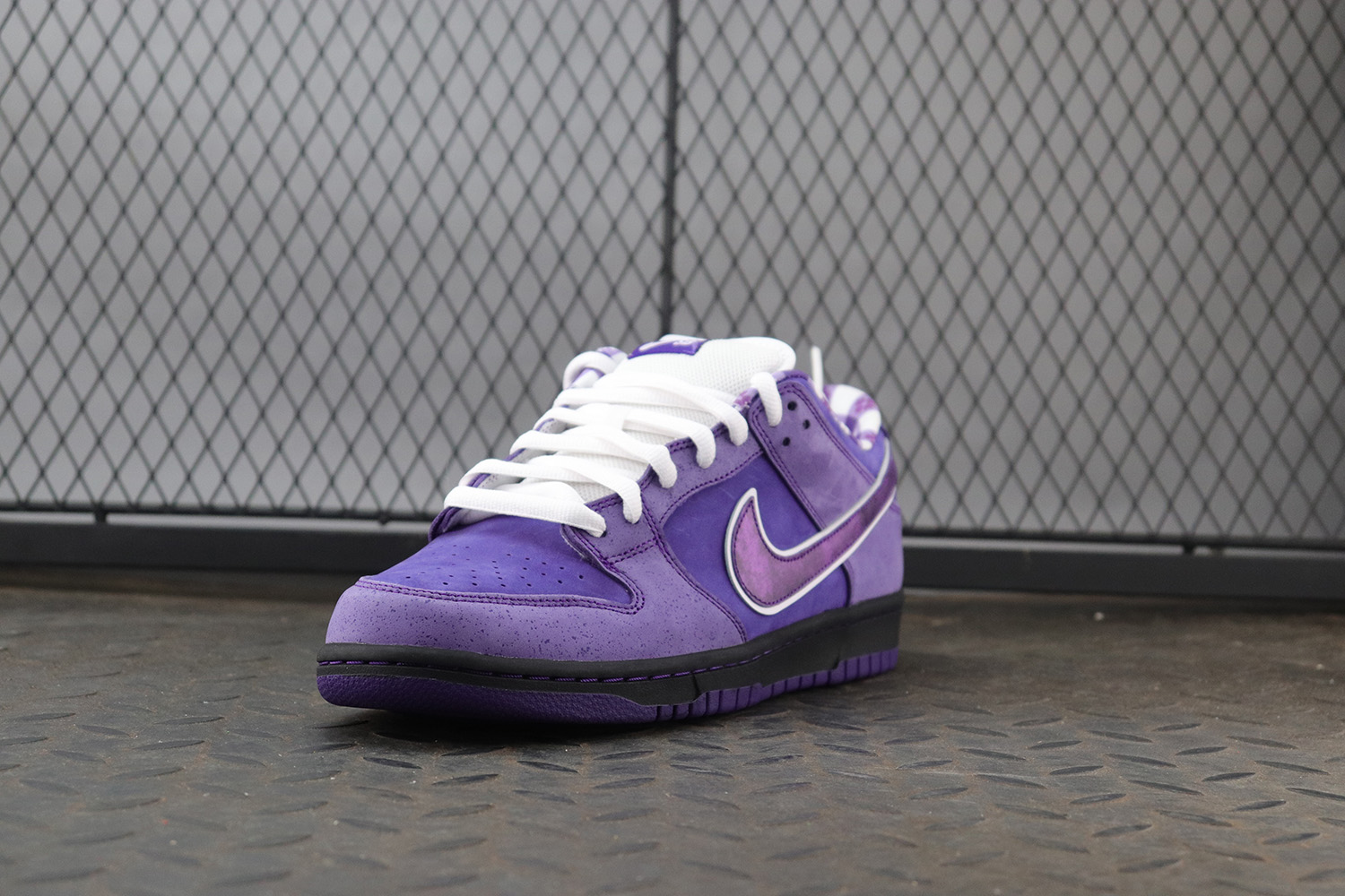 【Clearance】 Nike SB Dunk Low Concepts Purple Lobster Regular Box（US11）
