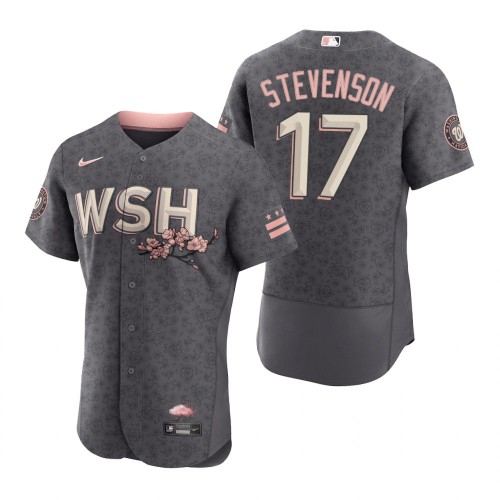 Washington Washington Nationals #17 Andrew Stevenson Men's Authentic Gray 2022 City Connect Jersey Men's
