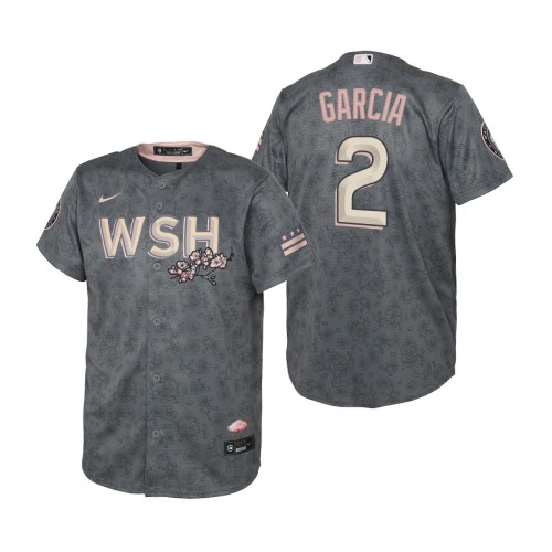 Washington Washington Nationals #2 Luis Garcia Youth Gray 2022 City Connect Replica Jersey Youth
