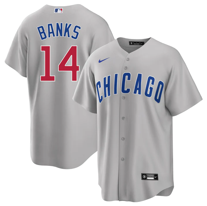 Men's Youth Women's Chicago Cubs #14 Ernie Banks Gray Road 2020 Jersey