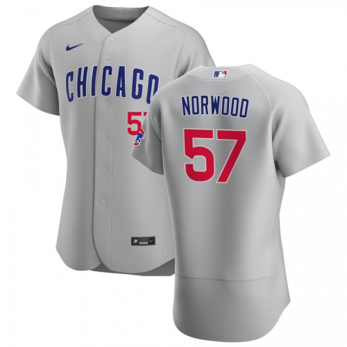 Chicago Chicago Cubs #57 James Norwood Men's Gray Road 2020 Authentic Team Jersey Men's