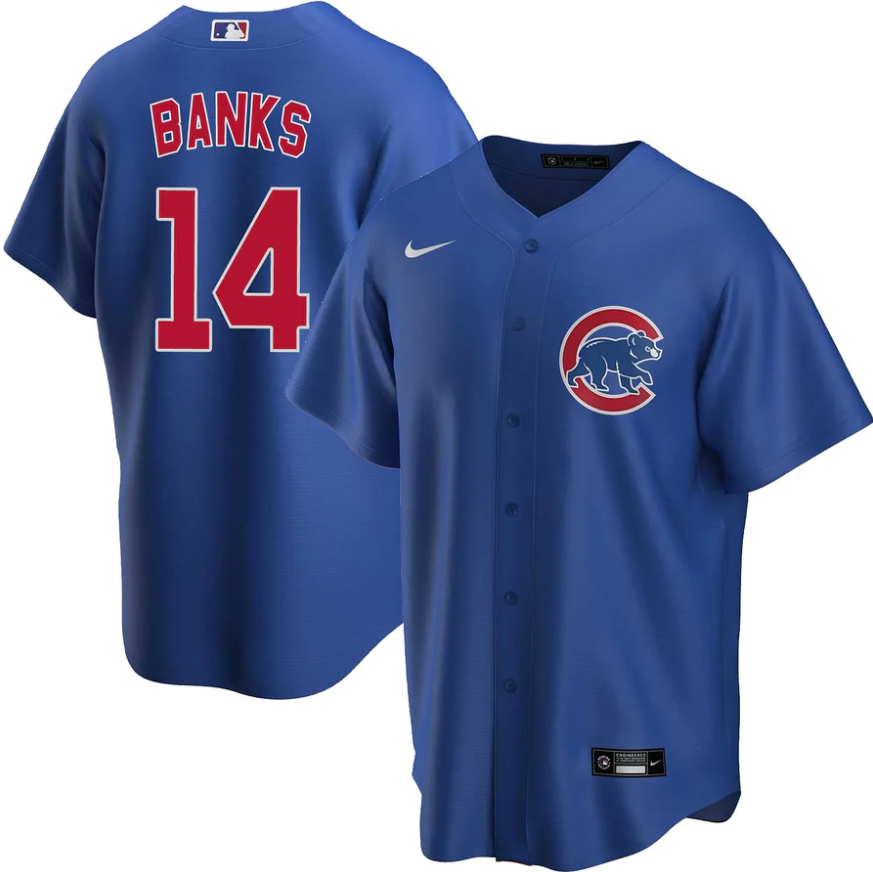 Men's Youth Women's Chicago Cubs #14 Ernie Banks Royal Alternate Cool Base Jersey