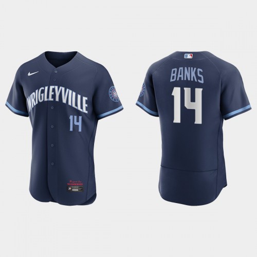 Chicago Chicago Cubs #14 Ernie Banks Men's 2021 City Connect Authentic Navy Jersey Men's